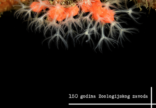Izložba - Zoologijski vremeplov