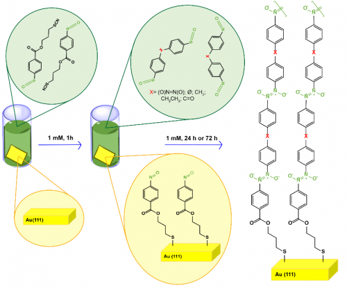 A Research Paper Published in Polymer