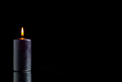 In memoriam – Dr. sc. Đorđe Mamula