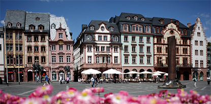 Radionica - Phylogeny & Evolution...