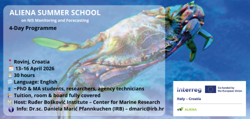 Otvorene su prijave za ljetnu školu...