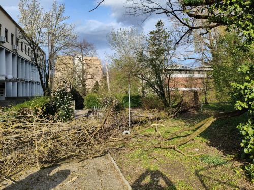 Ponešto o cikloni Deborah