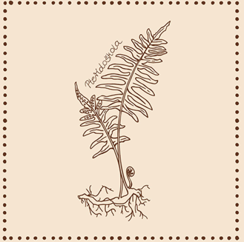 Pteridoškola