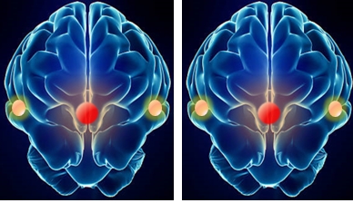 Pronalazak neuromagnetskog biomarkera...