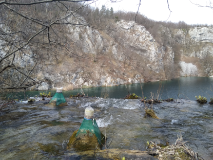 Taxonomic, functional diversity and...