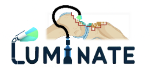 Prezentacija projekta - LUMINATE