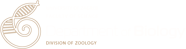 Department of biology